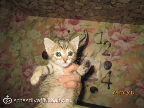 О...Мойва... свет очей моих! дочь моя мудрая....фотки