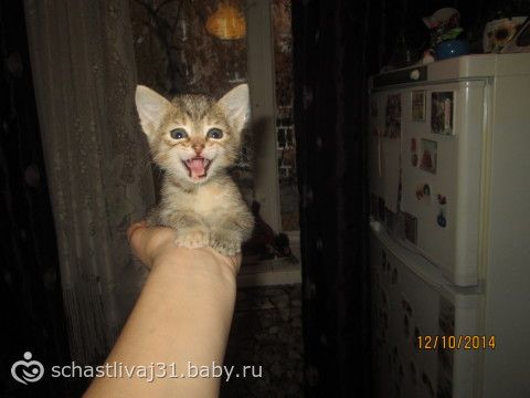 О...Мойва... свет очей моих! дочь моя мудрая....фотки