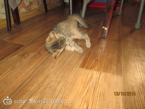 О...Мойва... свет очей моих! дочь моя мудрая....фотки