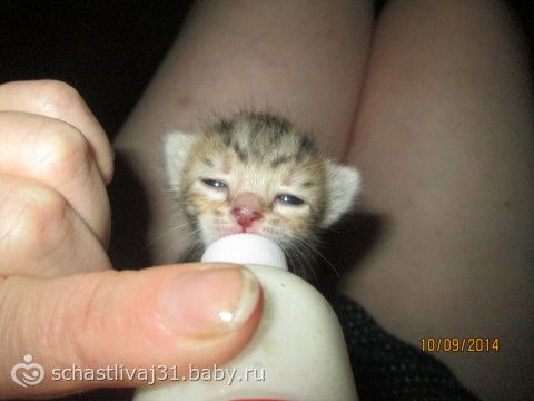 О...Мойва... свет очей моих! дочь моя мудрая....фотки