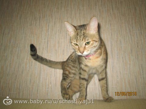 Игрища младшенькой))))) руки красивые? не, не слышали)))))
