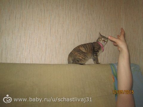 Игрища младшенькой))))) руки красивые? не, не слышали)))))