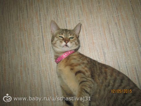 Игрища младшенькой))))) руки красивые? не, не слышали)))))