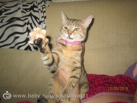 Игрища младшенькой))))) руки красивые? не, не слышали)))))