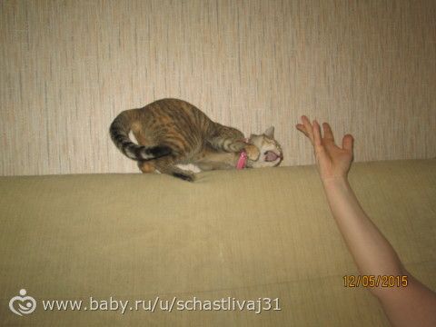 Игрища младшенькой))))) руки красивые? не, не слышали)))))