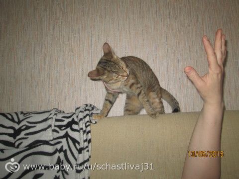 Игрища младшенькой))))) руки красивые? не, не слышали)))))