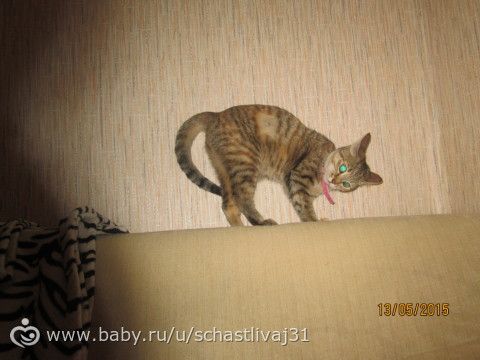 Игрища младшенькой))))) руки красивые? не, не слышали)))))