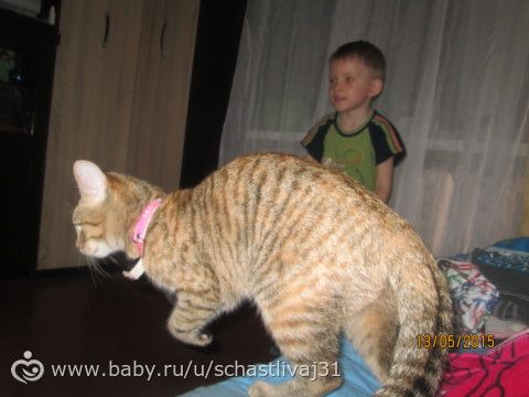 Игрища младшенькой))))) руки красивые? не, не слышали)))))