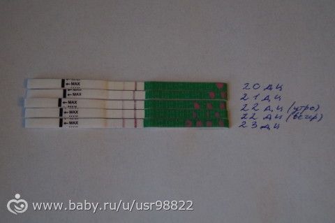 Была ли овуляция?