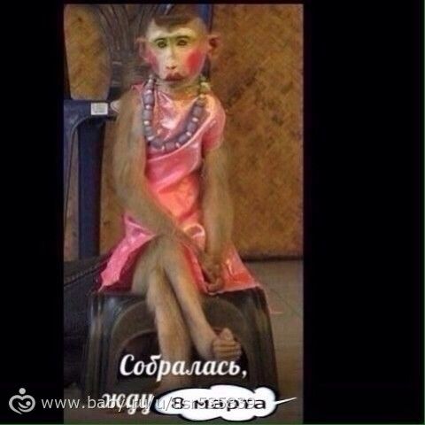 Наши новости)Читать много,но с фото)))