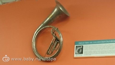 Магазин потерянного багажа в США
