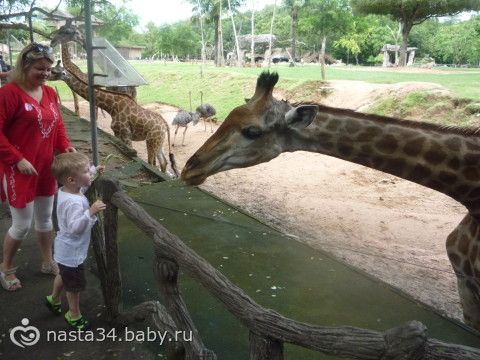 отчет об отдыхе в тайланд (Паттая)