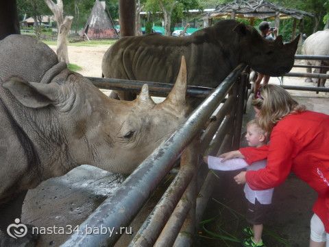 отчет об отдыхе в тайланд (Паттая)