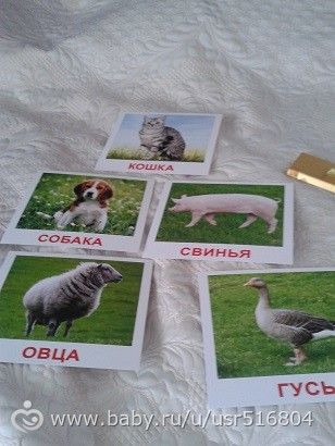 Наш Зеленый денек)))(1.2года)