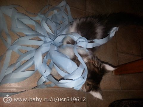 наша новая елочка (фото)
