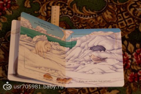 Книжное пополнение!
