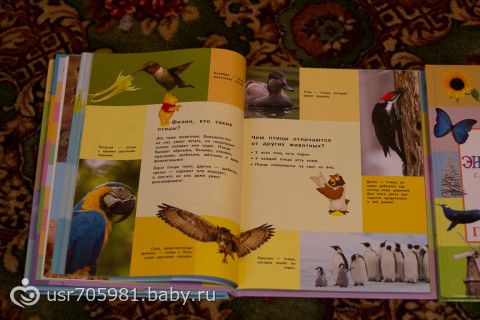 Книжное пополнение!