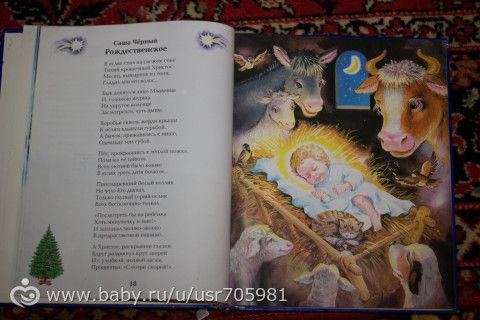 Наши зимние книжечки!
