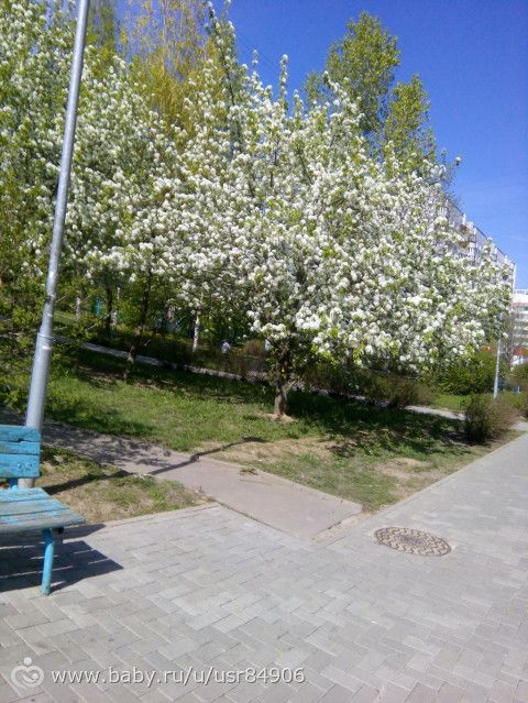 Мои благодарности, день третий.
