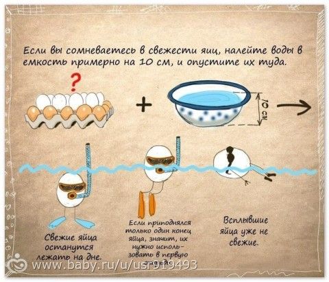 Почему всплывают яйца?