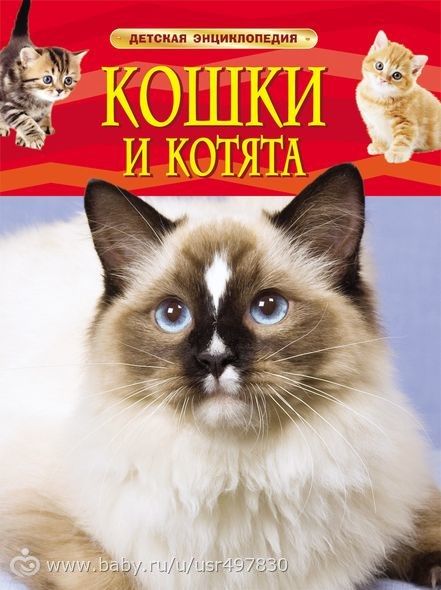 Книги про кошек и котов