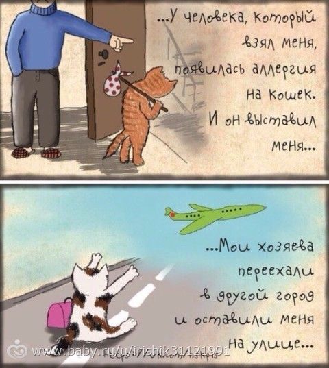 Тем кто против стерилизации - задумайтесь