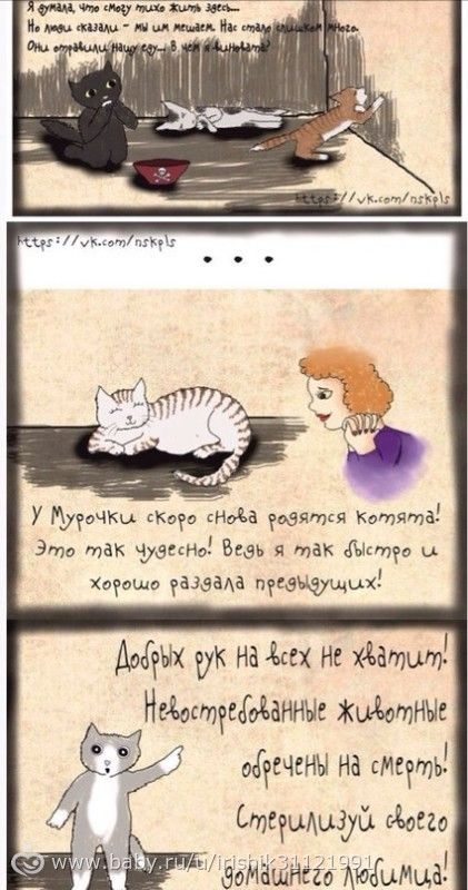 Тем кто против стерилизации - задумайтесь