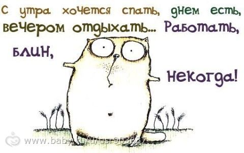 день 55 в основном система Миримановой (-60 заход 2
