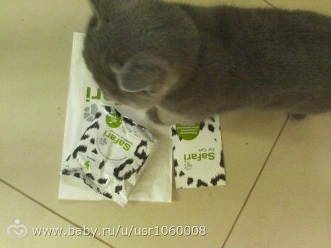 Бесплатные подарки для беременных по почте