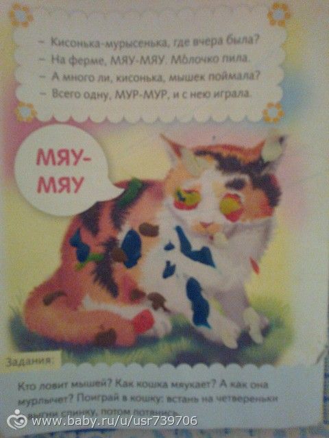 Книжка продолжается. Тема - котик