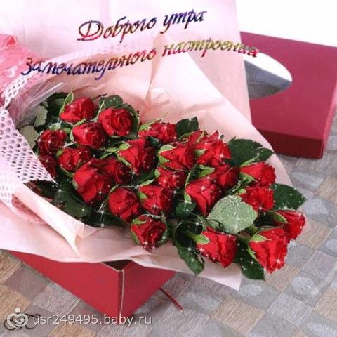 картинки доброе утро чудесного дня картинки доброе утро чудесного дня