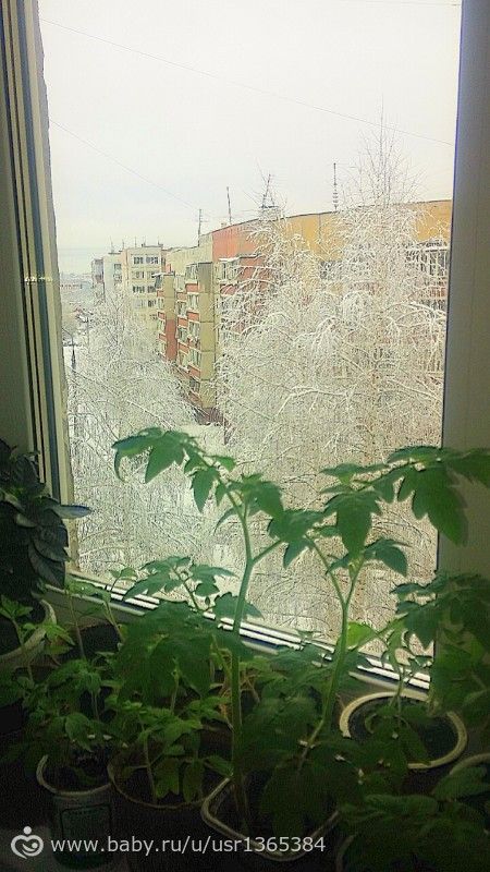 какая красота))
