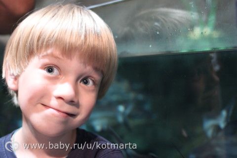 про летний отпуск. много фото.