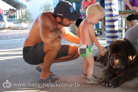 про летний отпуск. много фото.