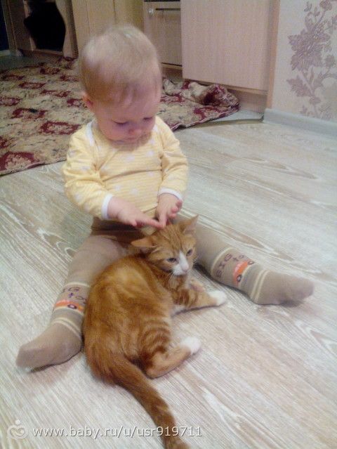 о моей любимой принцессе)