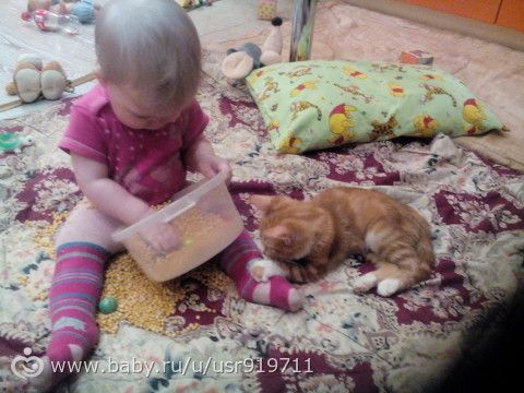 о моей любимой принцессе)