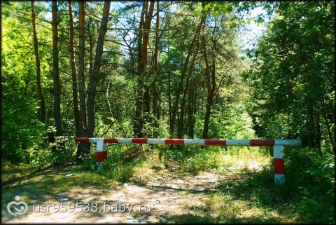 Сказка про убежище (очень хорошая психологическая сказка от Эльфийки, много букв)