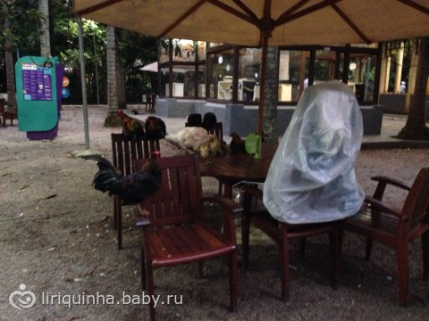 пока Валюша в садике, делюсь фотками
