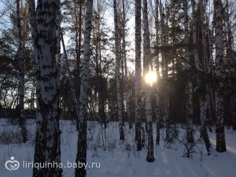 Просто фотки