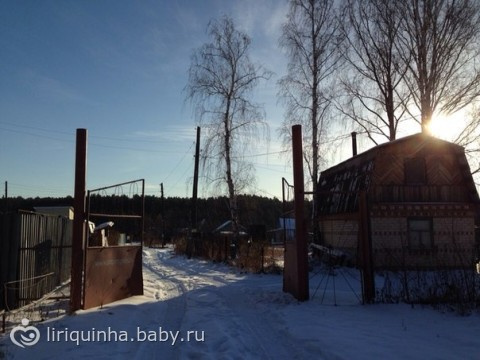 Просто фотки