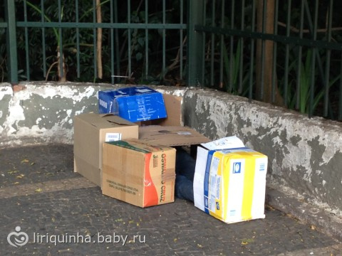 Столько жизни в этом городе