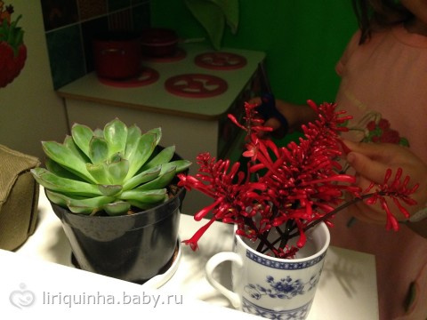 Как мы сегодня погуляли (фото и видео)