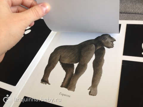 Книжки для Валюши из посылки