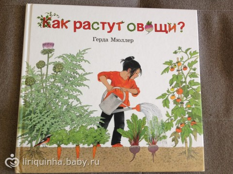 Книжки для Валюши из посылки