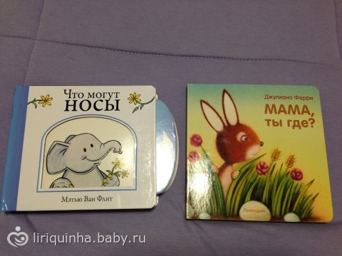 Книжки для Валюши из посылки (остальные)