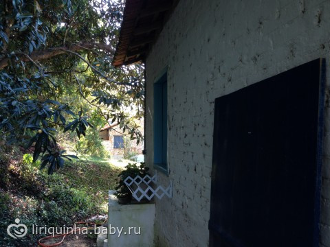 Хроники жизни в джунглях) Часть вторая