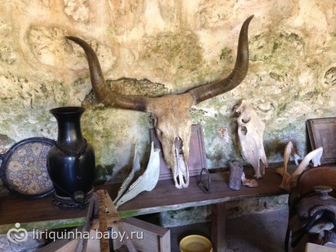Хроники жизни в джунглях) Часть четвертая