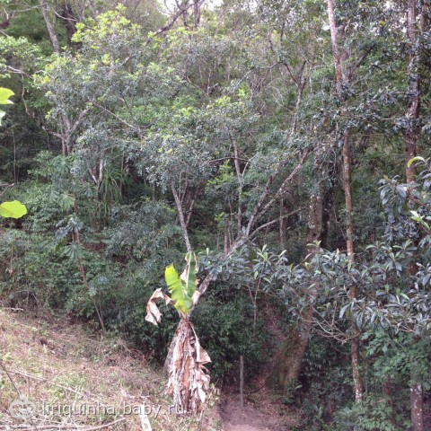 Фотки из инстаграма и всякие там новости