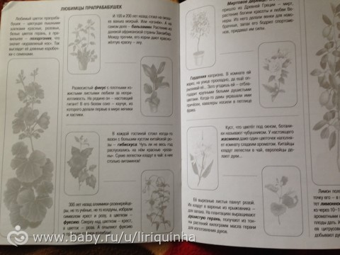 Наши новые книги. Детские. 2 часть.