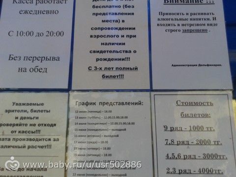 Девочки Караганда дельфинарий